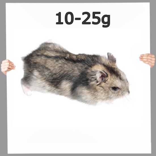 Hamster klein - Frostfutter nahrhaft ▪ 10 St. je ca. 10-25g