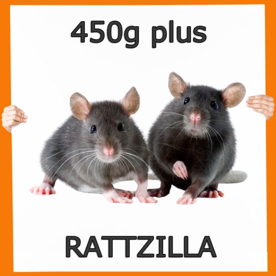 Frostfutter Ratte RattZilla 450g+ 5 Stück