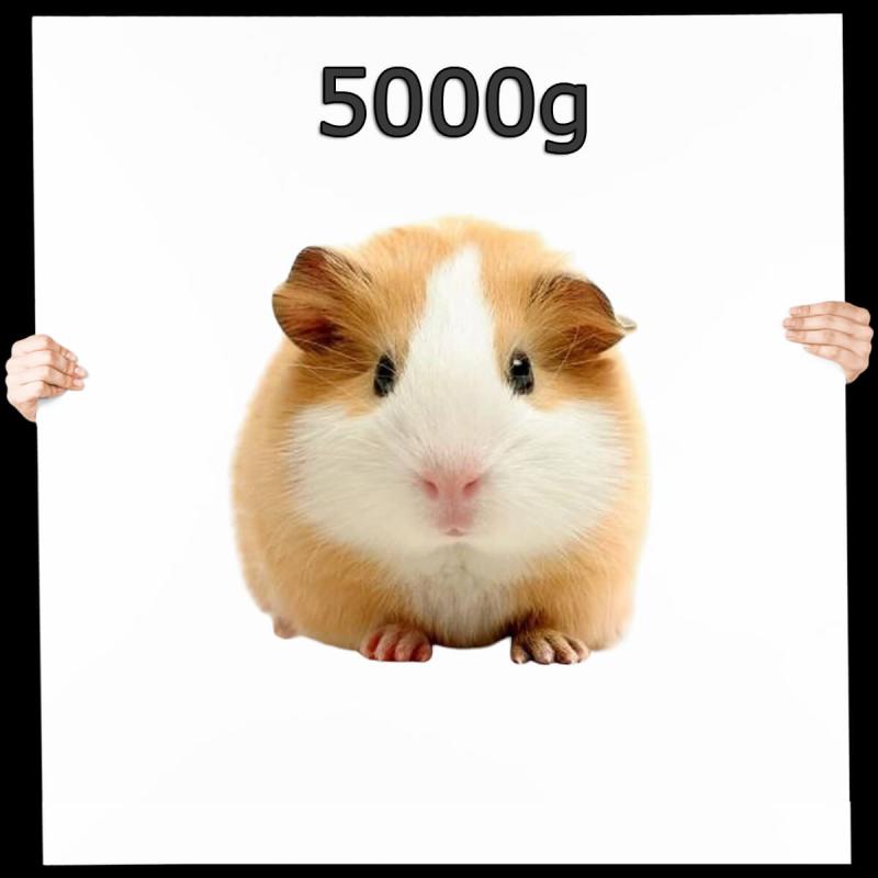 Meerschweinchen ca.150-300g MIX 5 kg